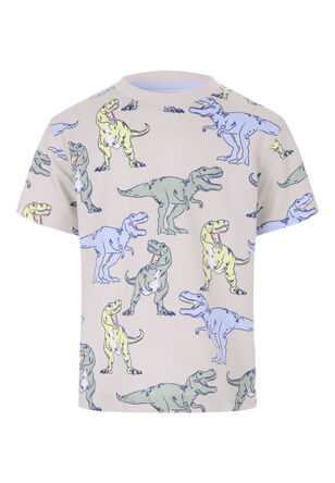 Younger Boy Stone Dinosaur Printed T-Shirt