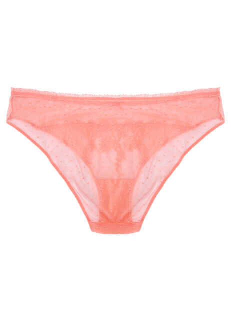 Womens Coral Embroidered Lace Briefs