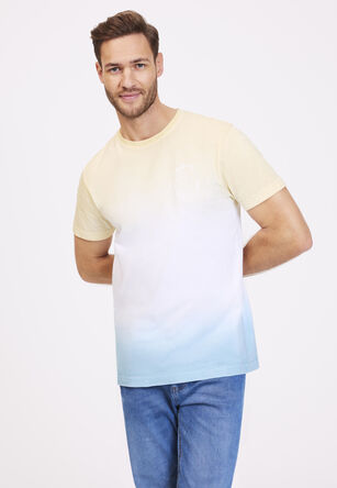 Mens Ombre Dip-Dye Palm Beach T-shirt