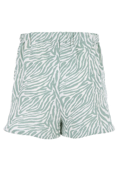 Older Girls Mint Zebra Print Crinkle Skort