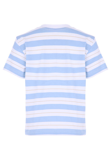 Younger Boys Blue & White Stripe T-shirt