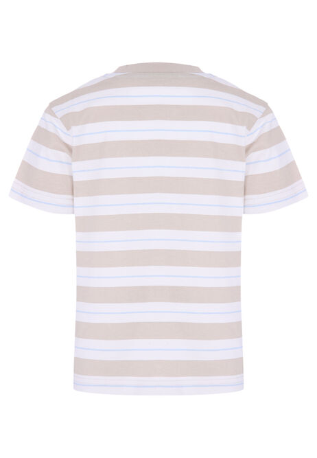 Younger Boy Stone Stripe Printed T-Shirt Top