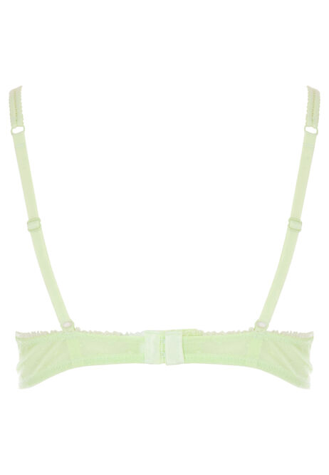 Womens Lime Embroidered Plunge Bra