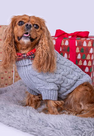 Dog Grey Cable Knit Jumper