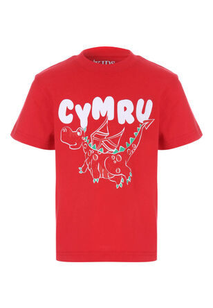 Younger Boys Red Wales Cymru T-Shirt