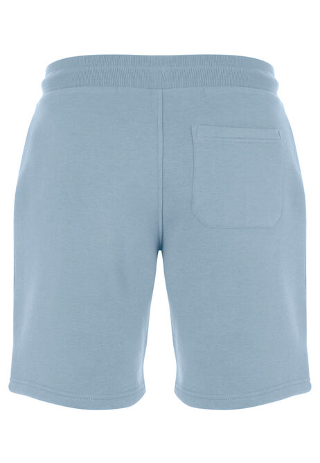 Mens Pale Blue Casual Drawstring Sweat Shorts