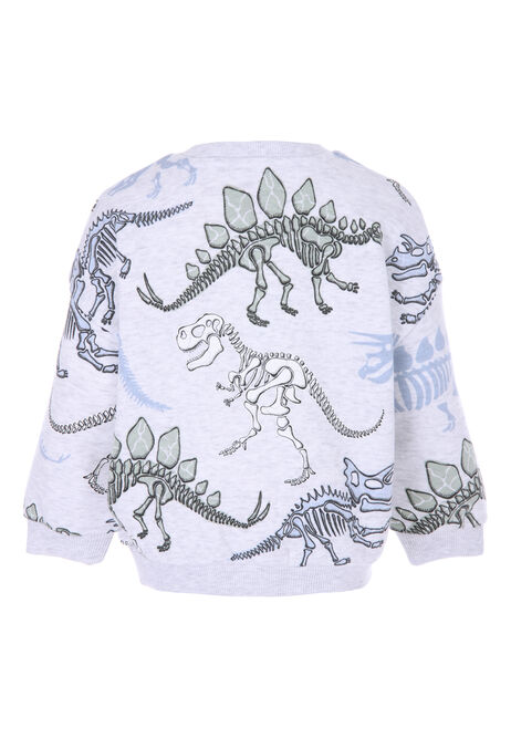 Younger Boy Grey Marl Dinosaur Sweatshirt