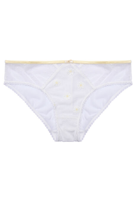 Women Yellow Floral Embroidered Briefs