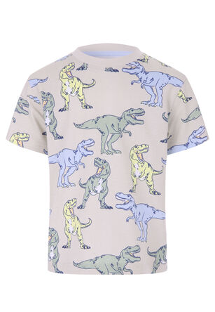 Younger Boy Stone Dinosaur Printed T-Shirt