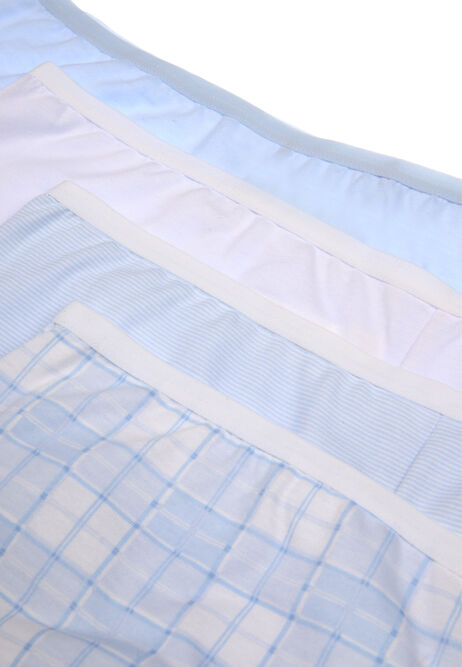 Womens 4pk Blue and White Shorts Briefs