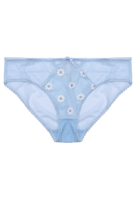 Women Blue Floral Embroidered Brief