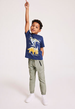 Younger Boy Navy Dinosaur Printed T-shirt