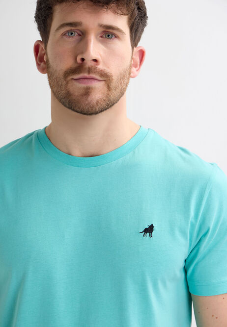 Mens Teal Crew Neck Basic T-Shirt