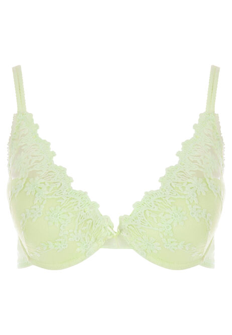 Womens Lime Embroidered Plunge Bra