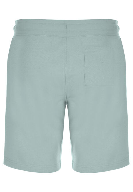 Mens Turquoise Jersey Shorts